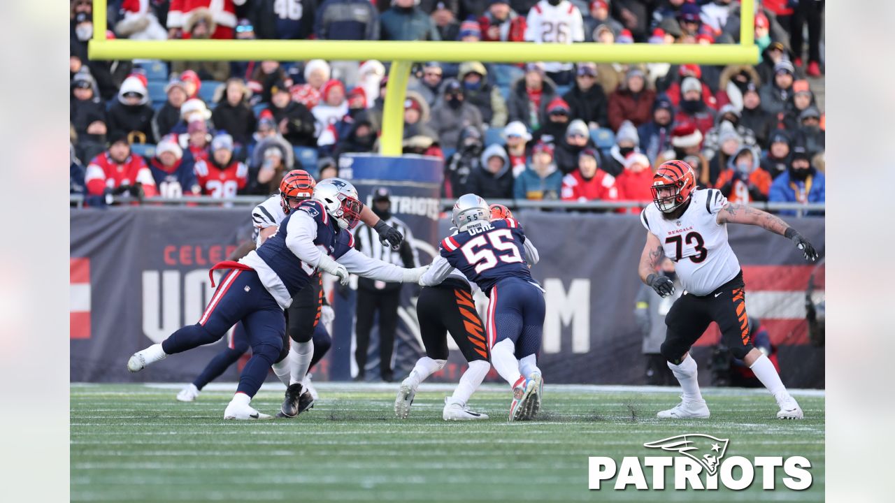 Bengals vs. Patriots Week 16 Simulation