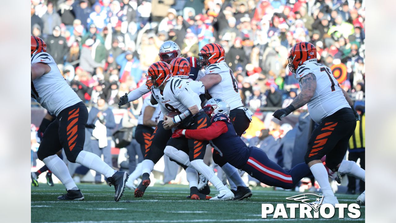 Photos: Patriots vs. Bengals Week 16