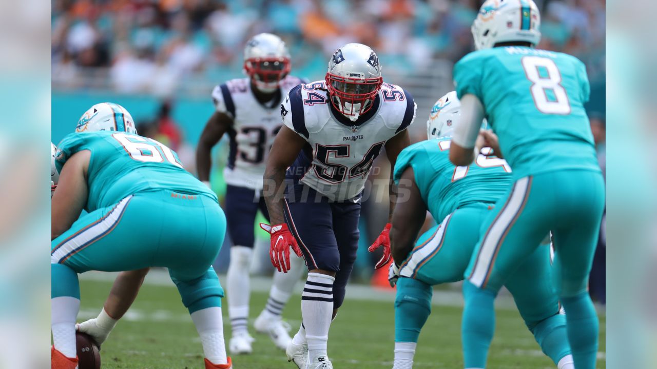 Patriots elevate Jalen Reagor, Calvin Munson ahead of Dolphins matchup -  Pats Pulpit