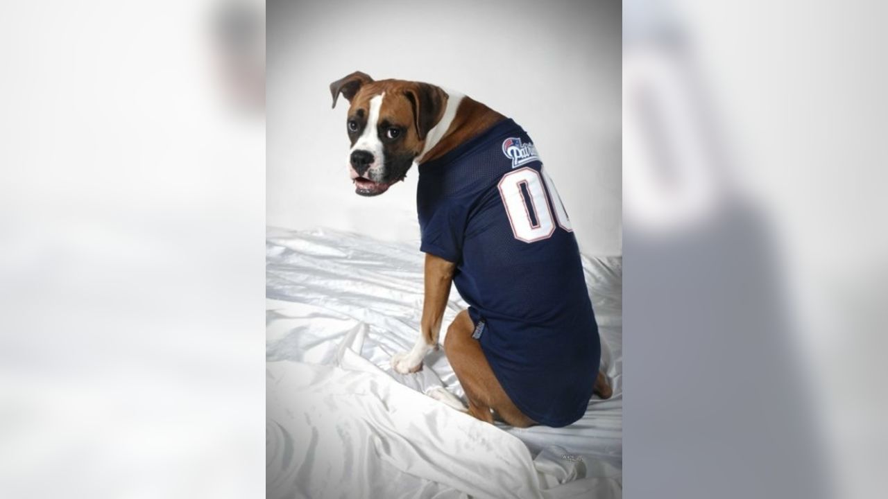 New England Patriots Dog Jersey - Large