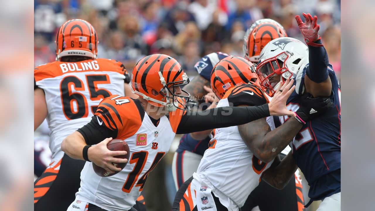 Patriots (35) vs Bengals 17). October 16, 2016