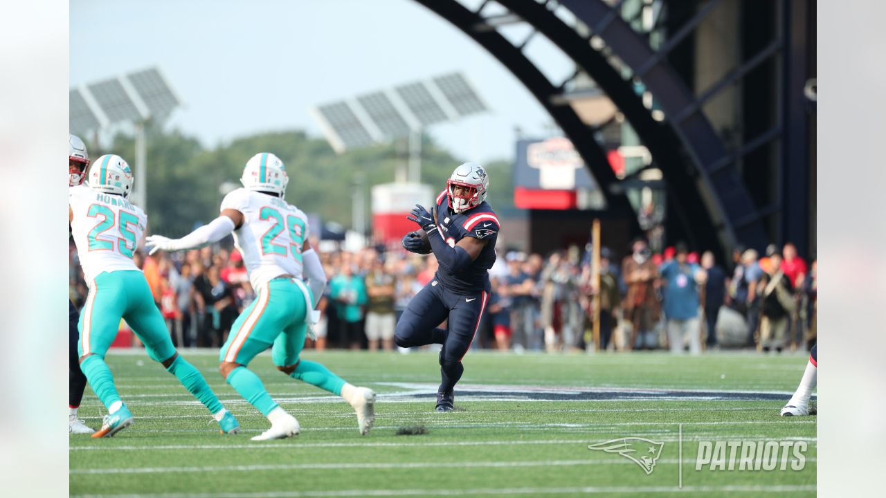 Photo Gallery: Dolphins v. Patriots