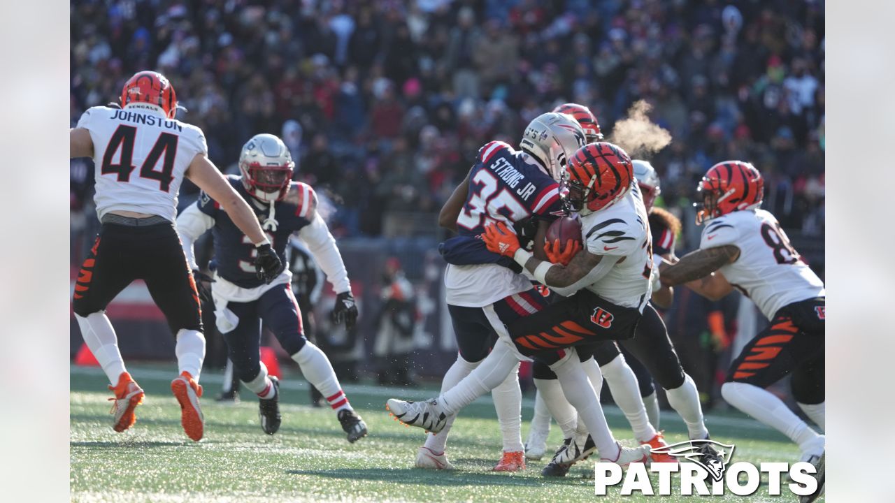 Photos: Patriots vs. Bengals Week 16