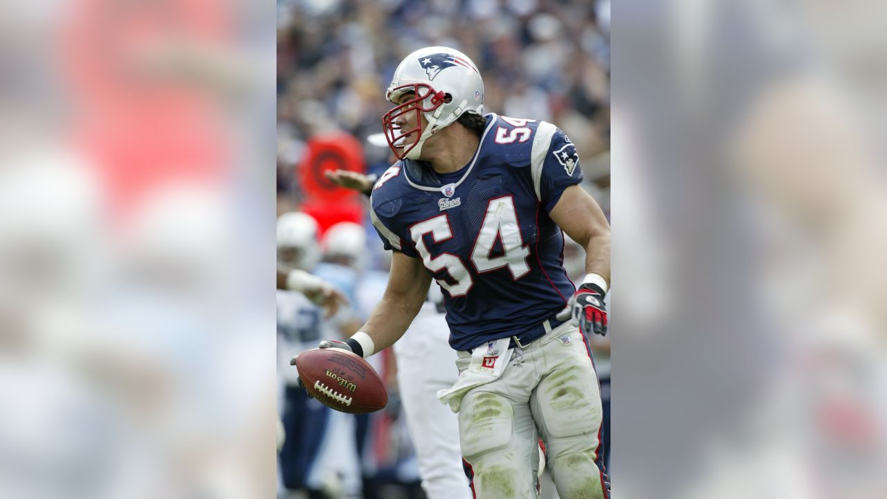 Tedy Bruschi New England Patriots Photo (AAGU065)