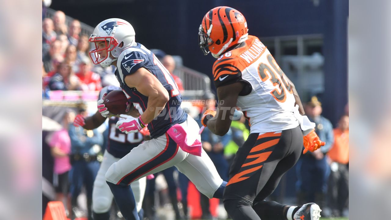 Patriots (35) vs Bengals 17). October 16, 2016, Gallery