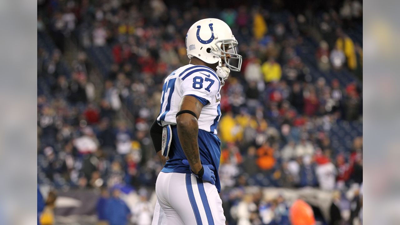 Patriots Sign Reggie Wayne