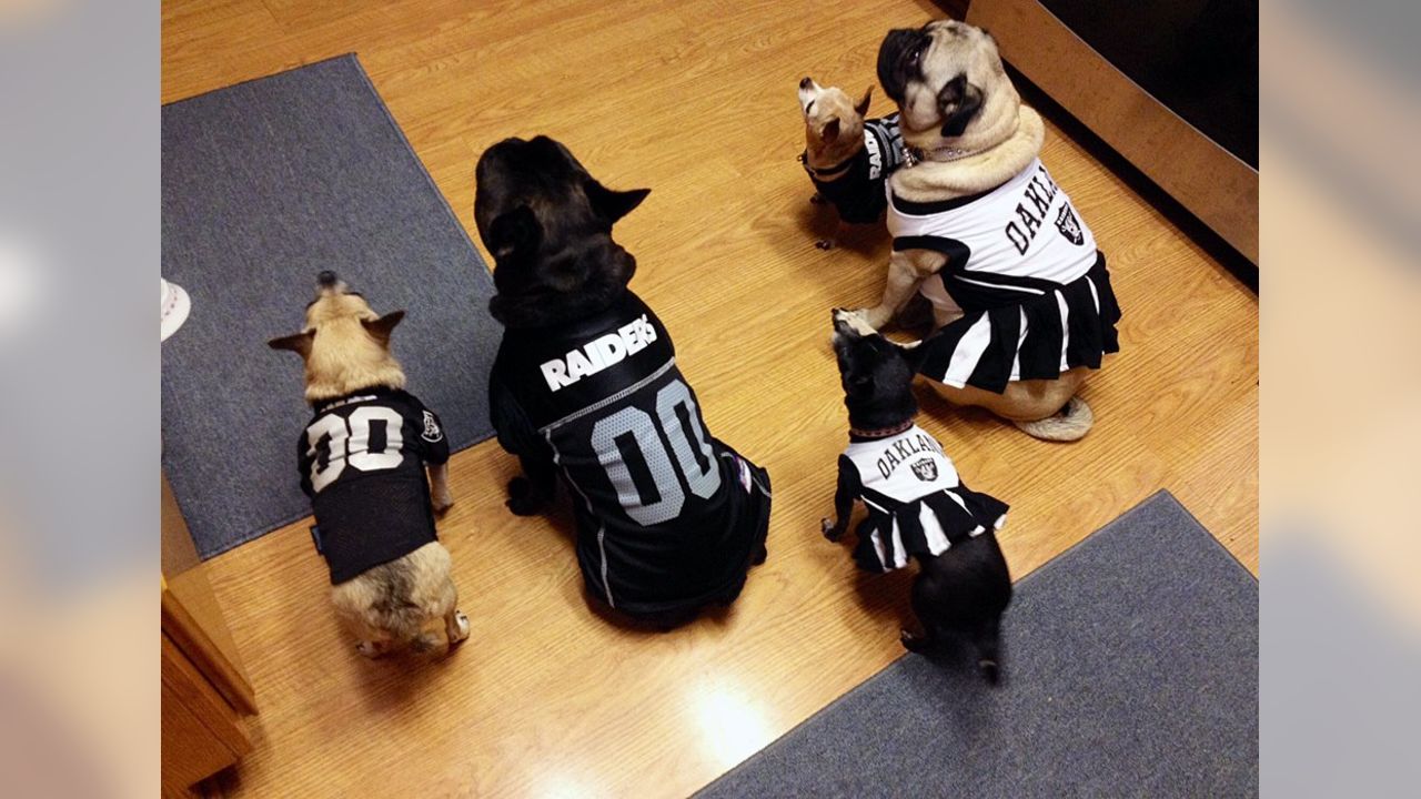 Raider Nation Pets For October