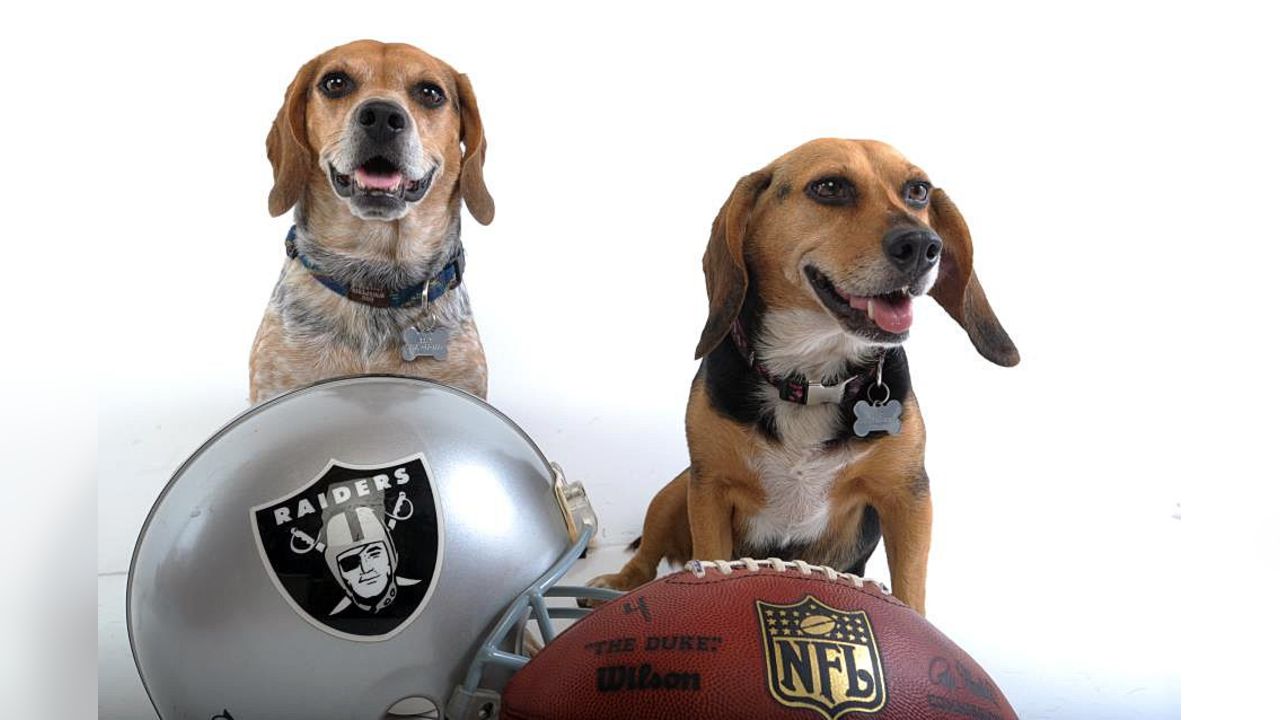 Raider Nation - The Pet Delegation