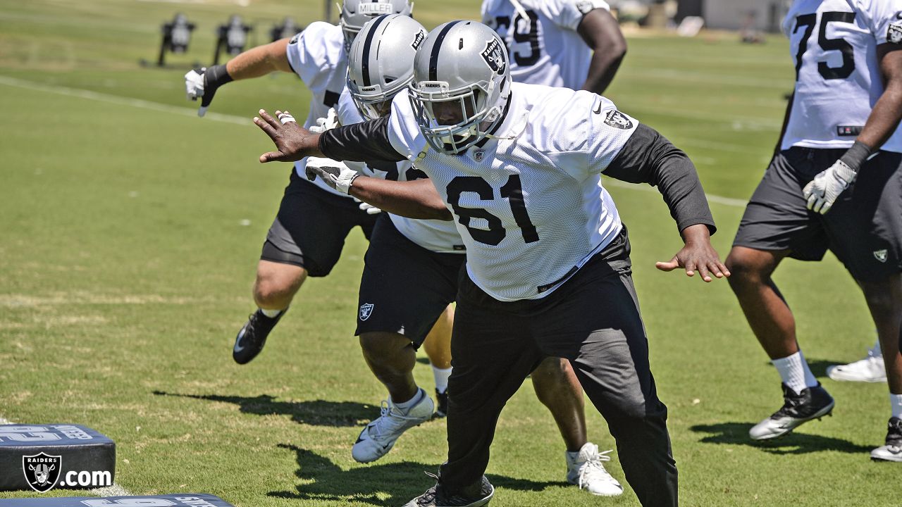 Jon Gruden on what Raiders saw in newly signed defensive linemen Frostee  Rucker, Ahtyba Rubin - Silver And Black Pride