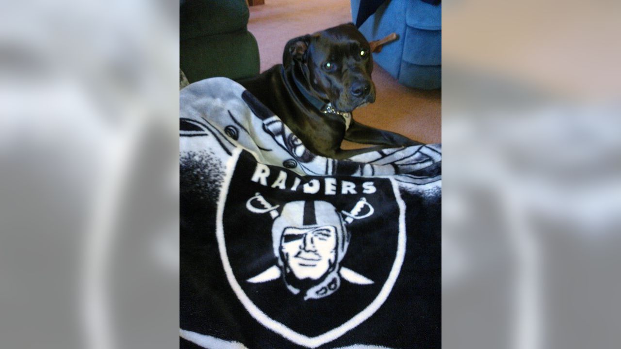 Raider Nation - The Pet Delegation