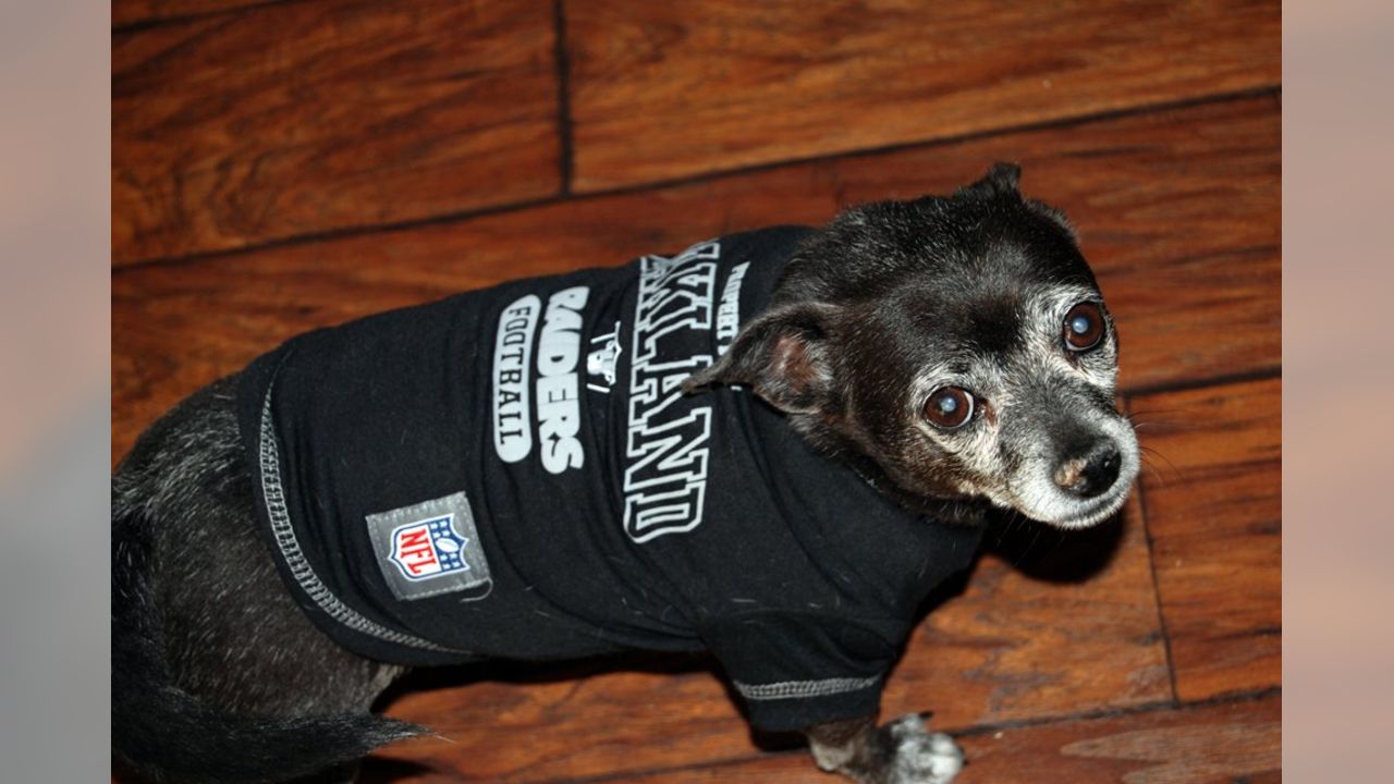 Oakland Raiders Dog Jersey – Raider Nation