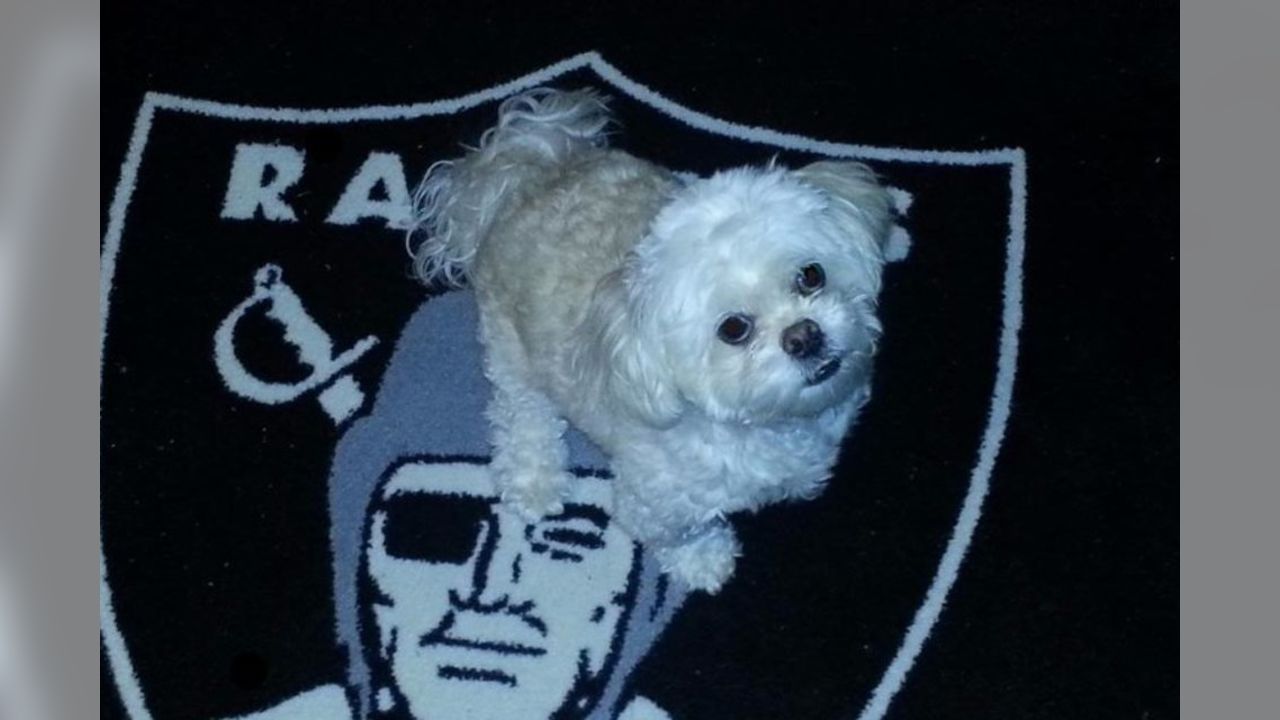 Raider Nation Pets For October