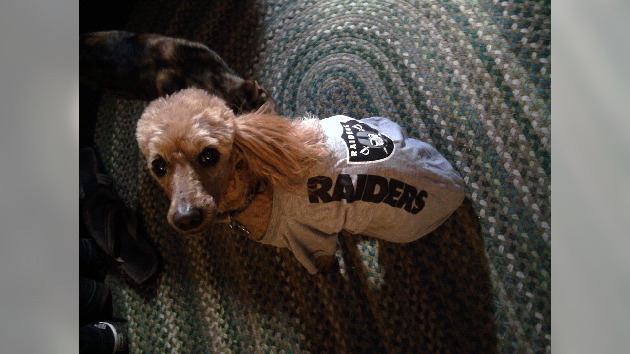 Oakland Raiders Dog Hoodie