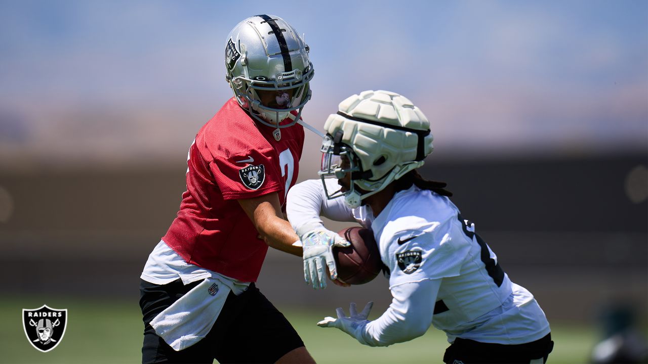 Raiders: Brian Hoyer's perfect Davante Adams description at training camp