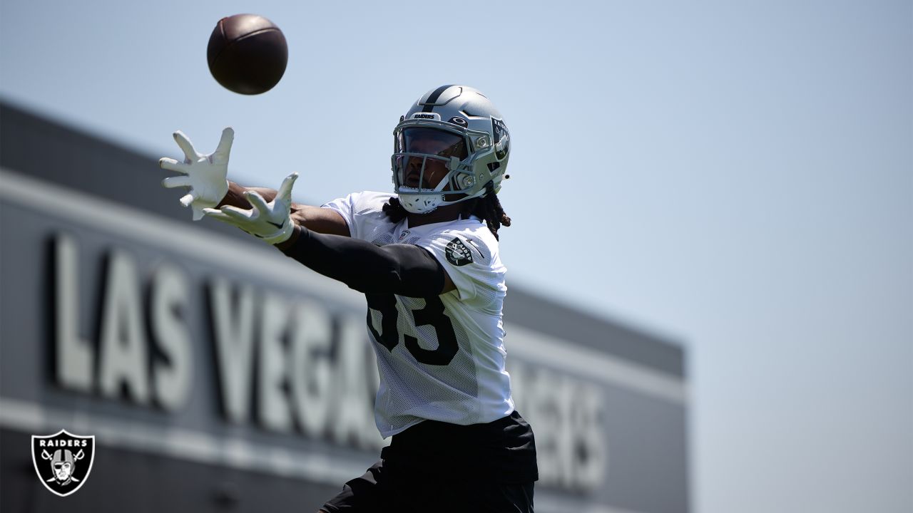 Las Vegas Raiders: Adams and Renfrow have talent around them at WR