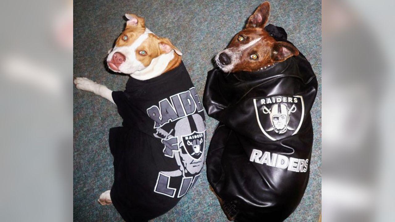 Oakland Raiders Dog Jersey