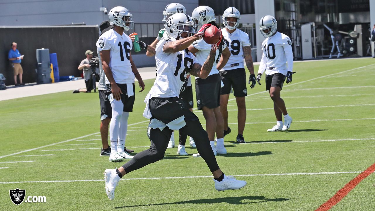 Raiders' Antonio Brown, Tyrell Williams form distinct combo