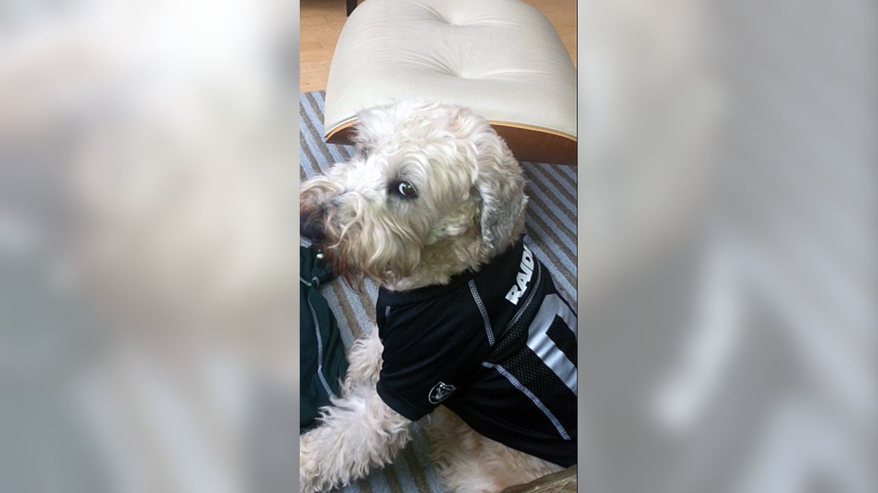 Raider Nation - The Pet Delegation