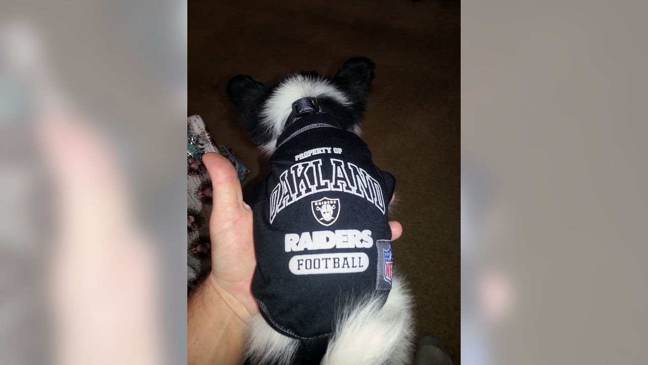 Raider Nation Pets For October