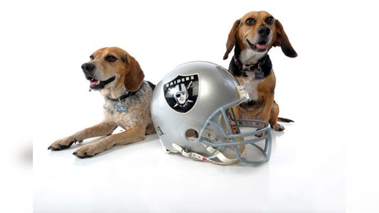 Raider Nation - The Pet Delegation