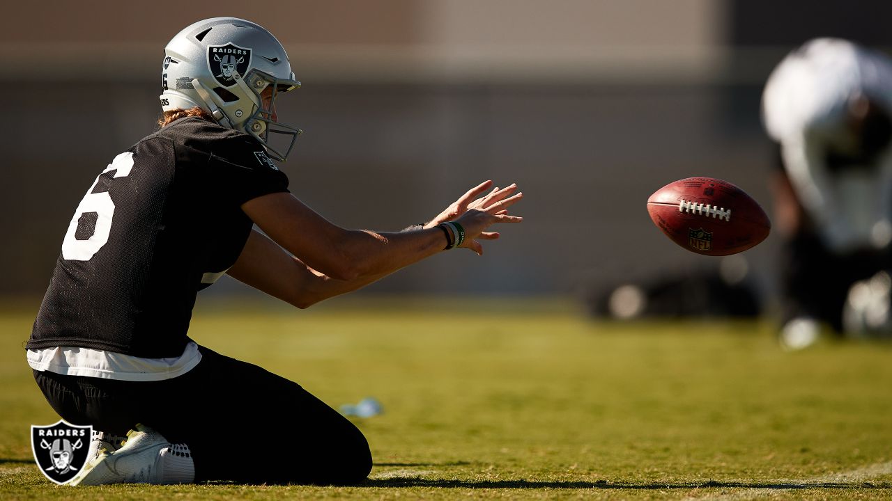 Raiders punter AJ Cole's sideline interview tops Pro Bowl TV coverage