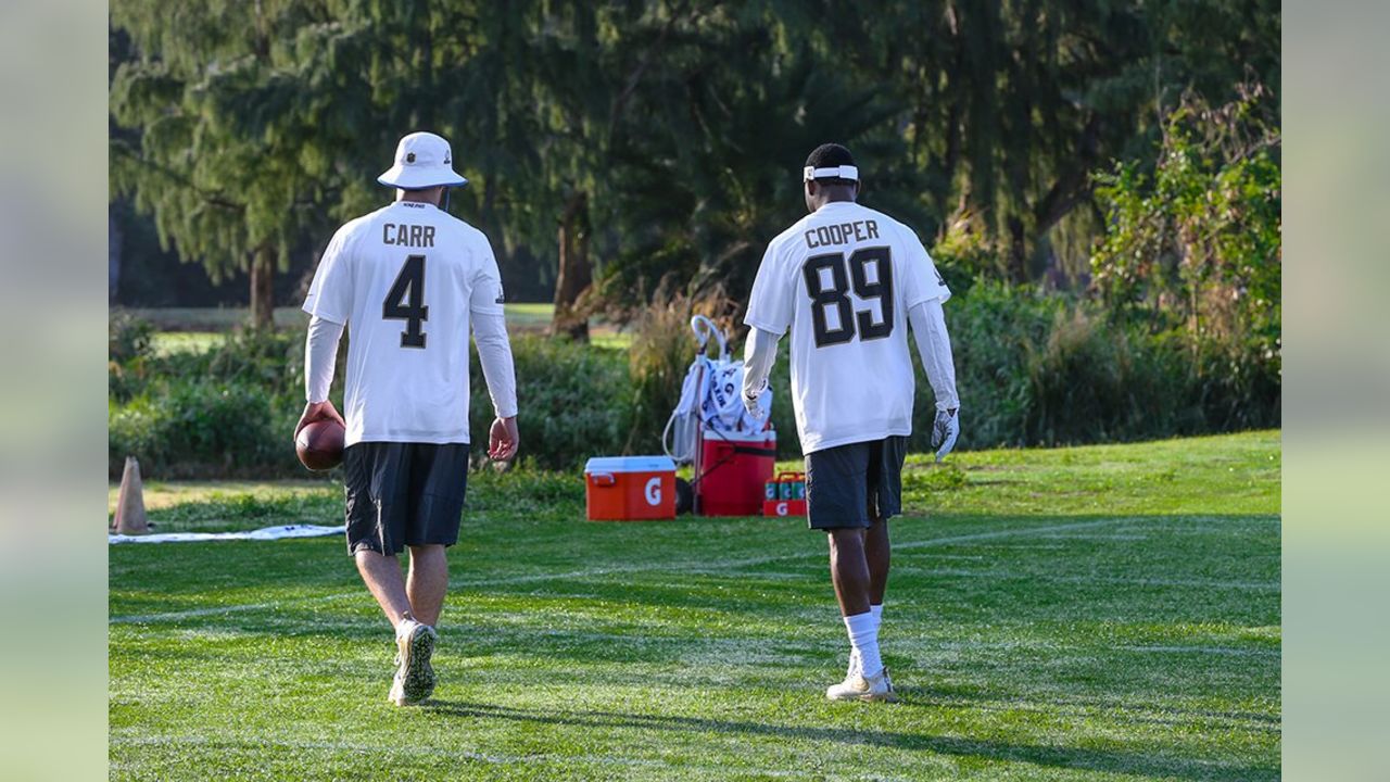 PHOTOS: Practice - Pro Bowl - Day 3