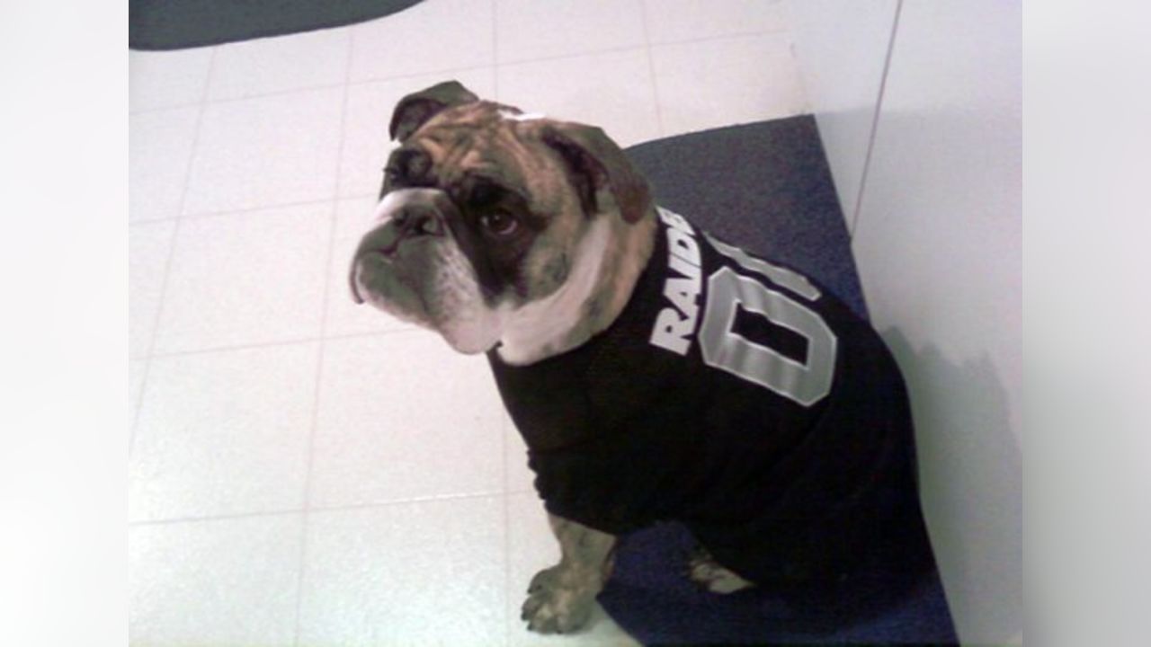 Raider Nation - The Pet Delegation