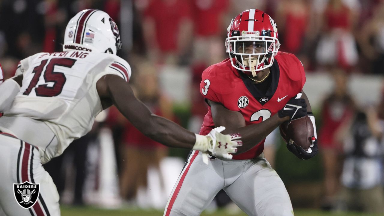 Zamir White (Georgia RB) vs Alabama (2022) 