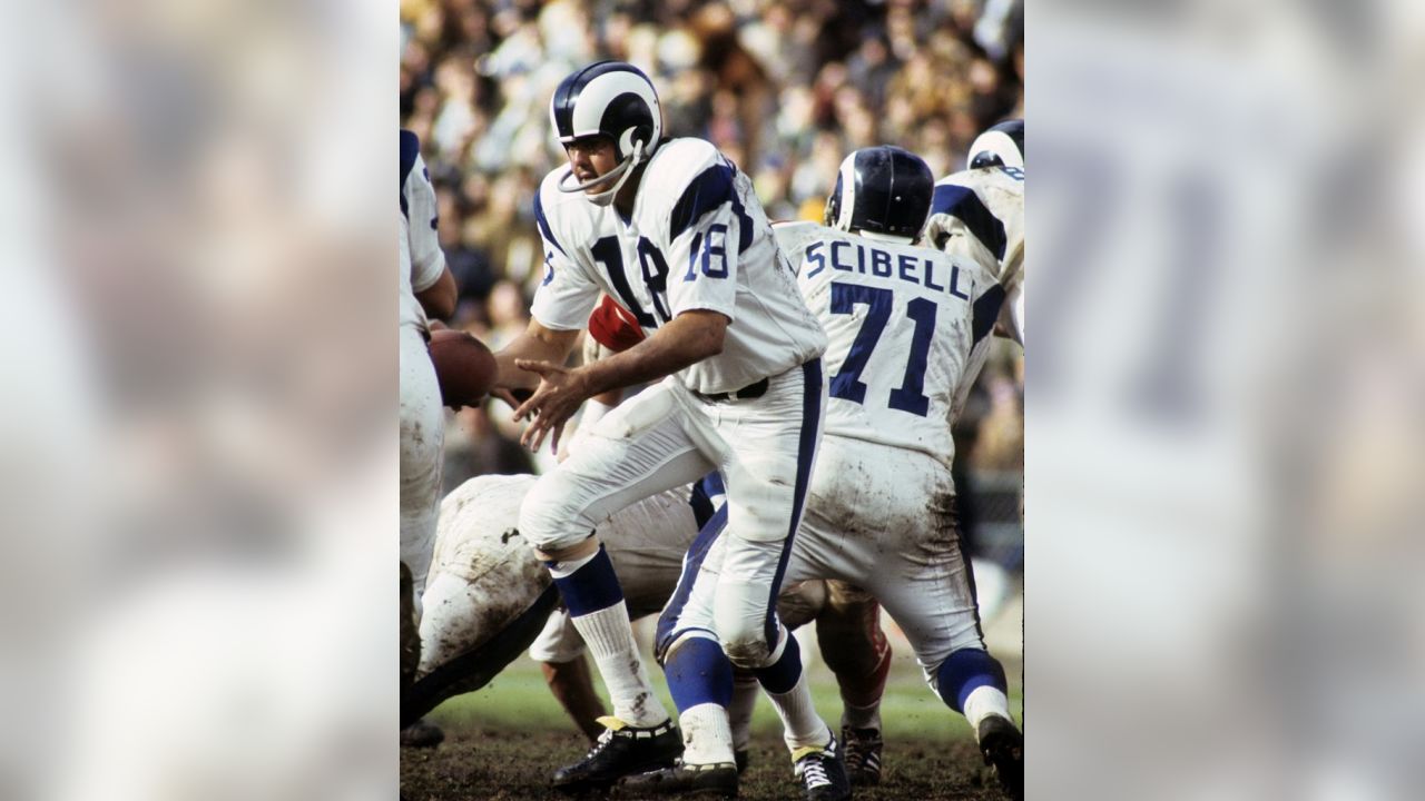 NFL Los Angeles Rams QB Roman Gabriel in the Pocket Color 8 X 10 Photo