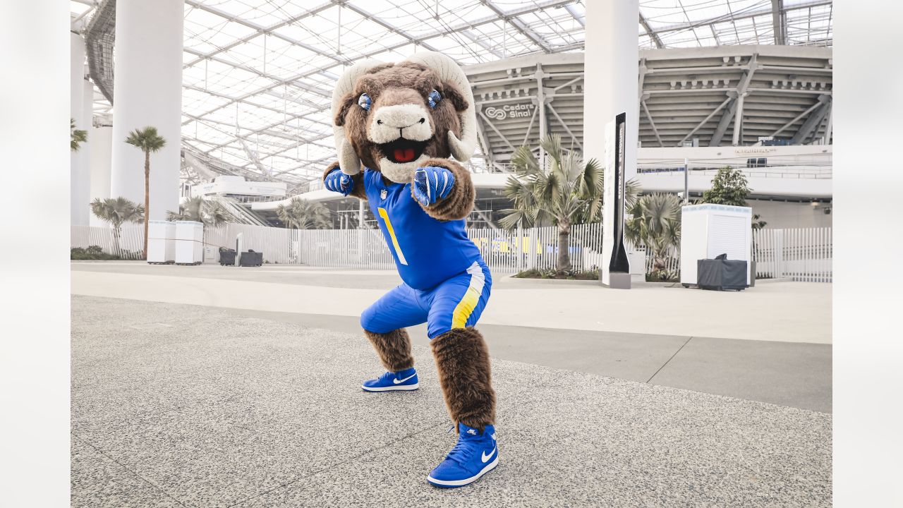 Los Angeles Rams Cheer Dog Costume