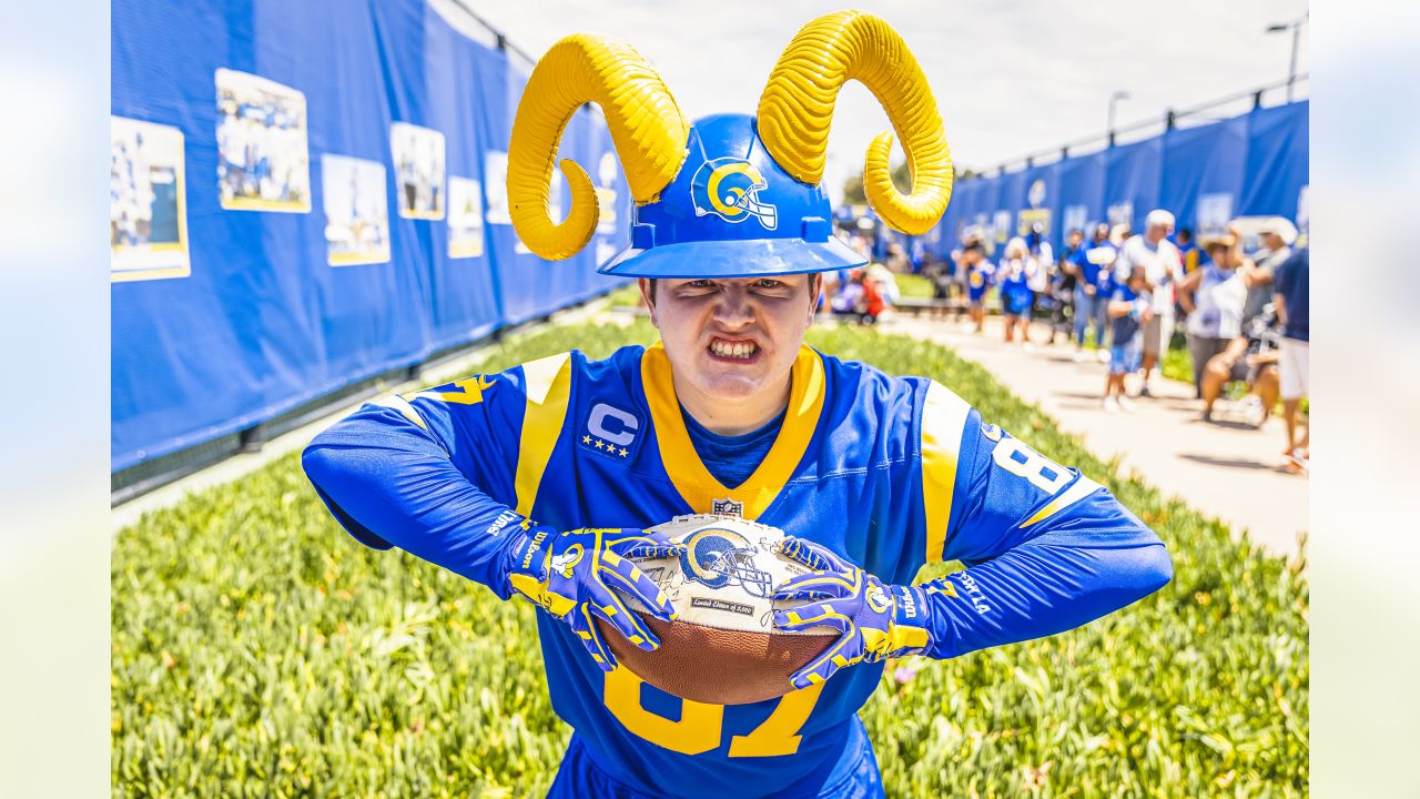 rams hat with horns