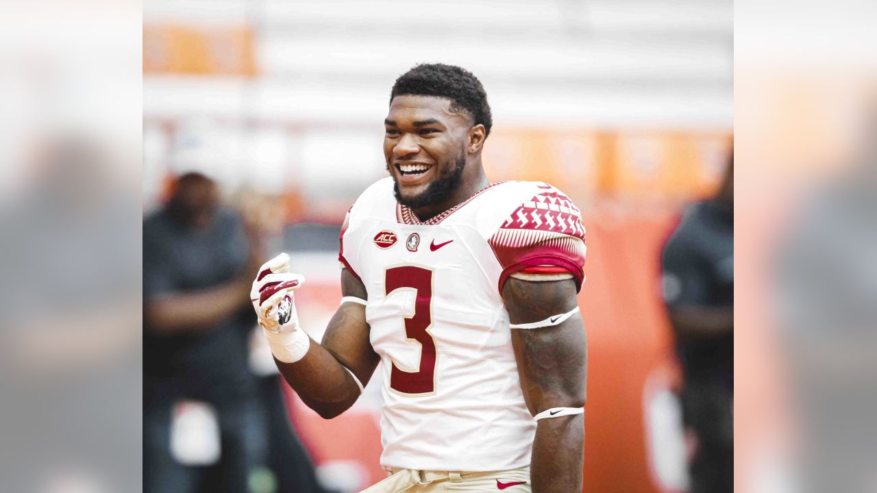 2020 NFL Draft prospect profile: Cam Akers, RB, Florida State - Big Blue  View