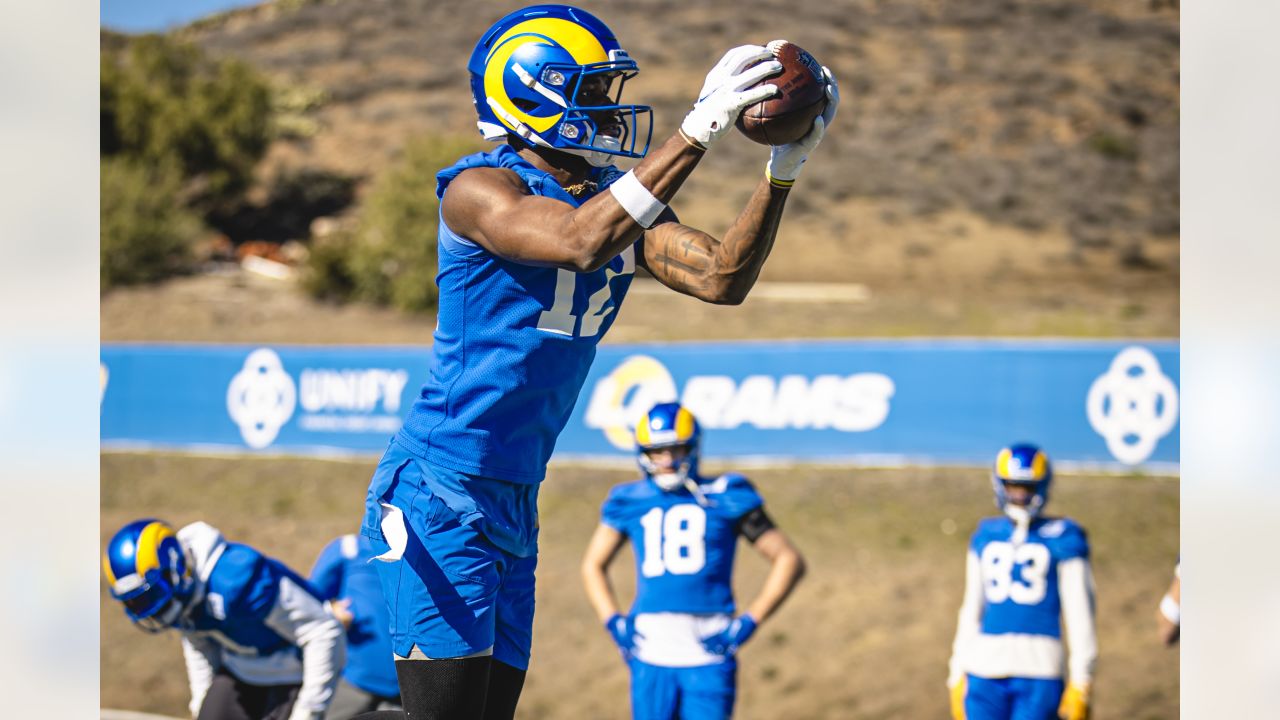 Rams wide receiver Ben Skowronek sustains fractured forearm, to