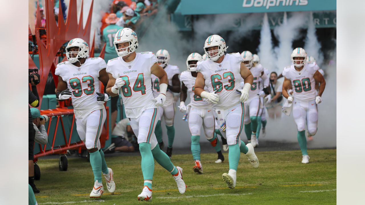 Miami Dolphins tight end Hunter Long (84) blocks Detroit Lions