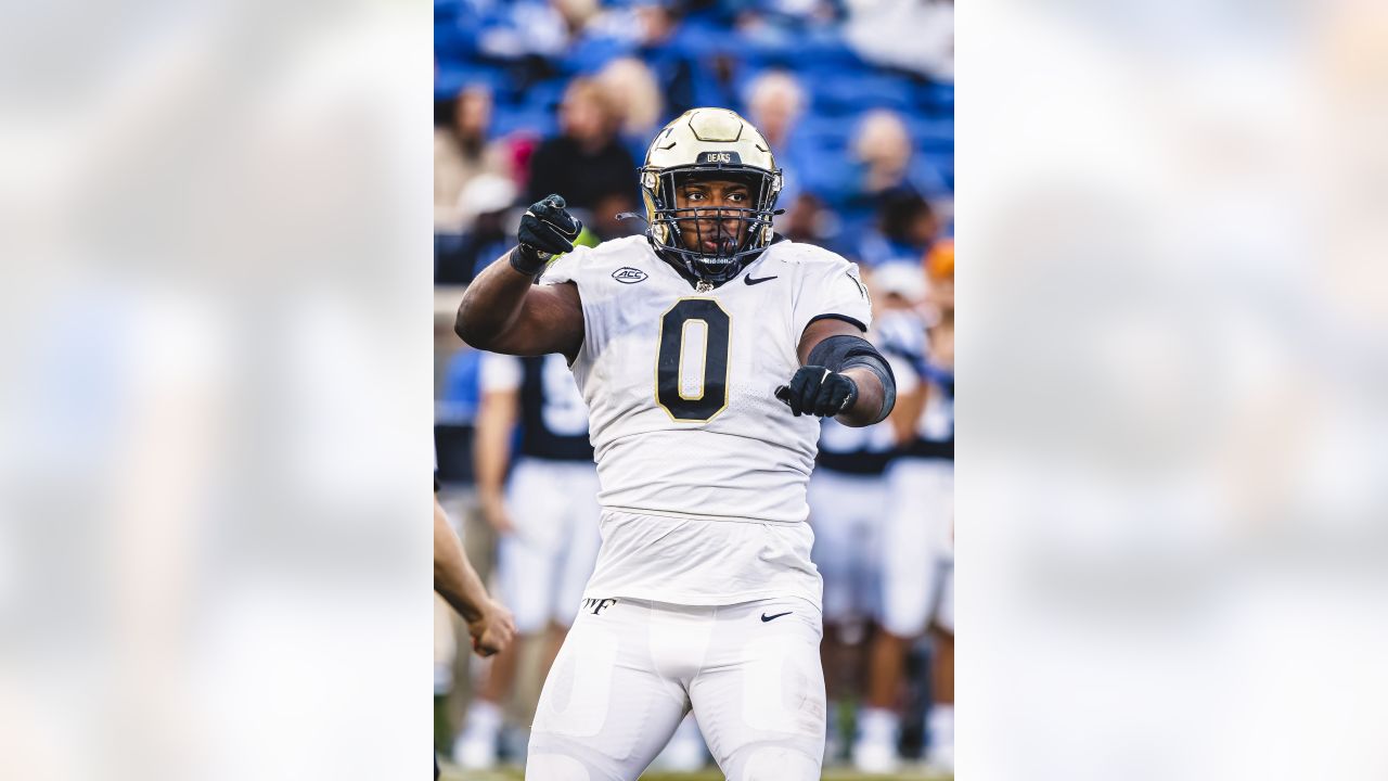 Wake Forest NFL Draft Primer - Wake Forest University Athletics