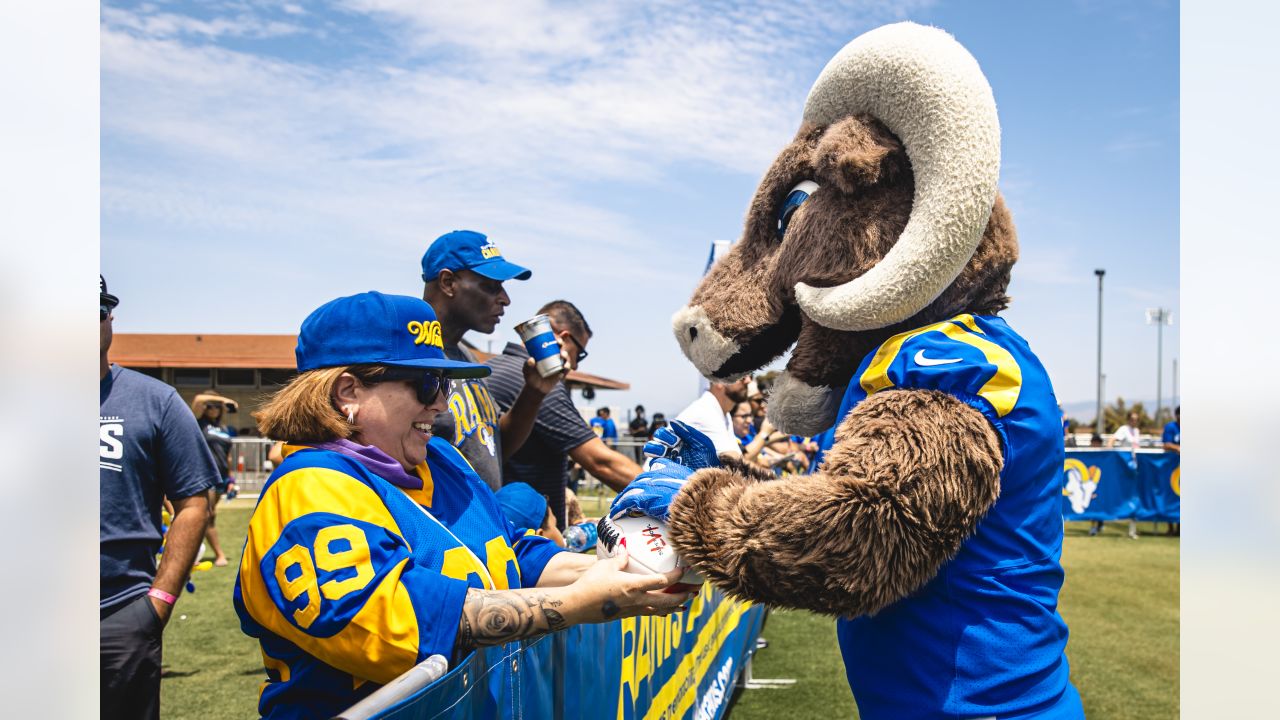 Rams fans pack flight to Atlanta, turn cabin into high-flying cheering  squad - ABC7 Los Angeles