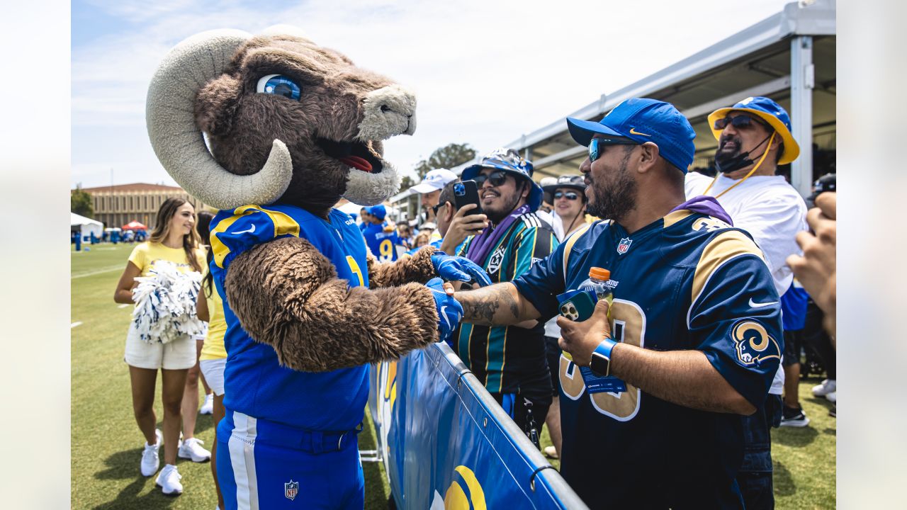 Rams fans pack flight to Atlanta, turn cabin into high-flying cheering  squad - ABC7 Los Angeles