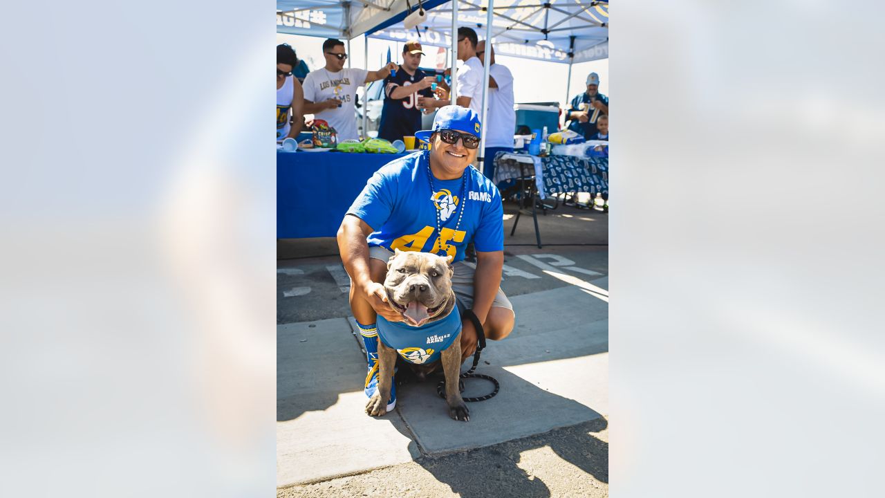 Los Angeles Rams Dog 