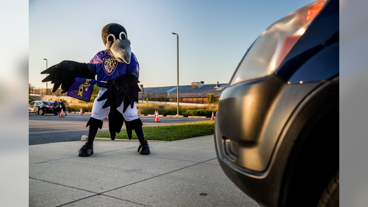 See Photos: Ravens Helping To Paint The Town Purple Ahead Of