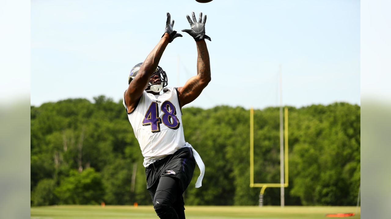 Baltimore Ravens free safety DeShon Elliott (32) wears Breonna Taylor's  name on the back of his helmet before an NFL football game against the  Kansas City Chiefs, Monday, Sept. 28, 2020, in