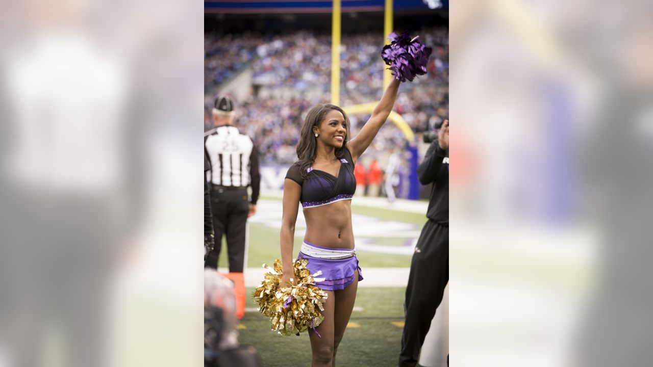 Ravens cheerleaders in 2015