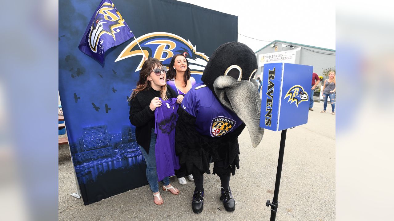 Ravens Revving For Playoffs: Tickets, Purple Friday, Flock Party