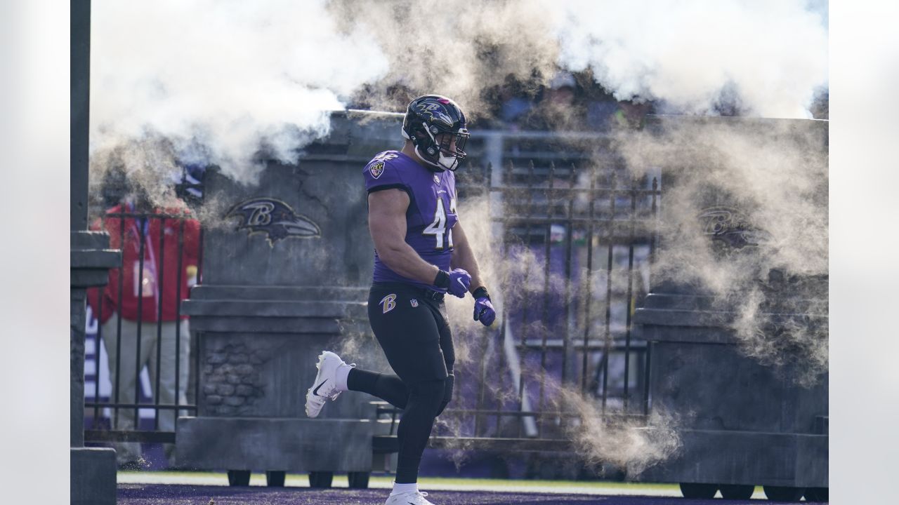 Photo: Minnesota Vikings vs Baltimore Ravens - WAG20081602 