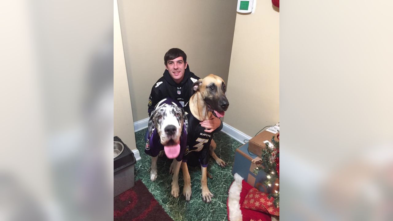 National Pet Day Photos From Cute & Furry Ravens Fans