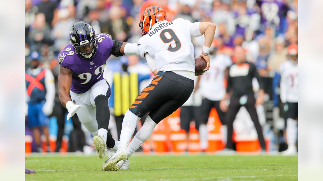 Gameday Gallery: Ravens vs. Bengals