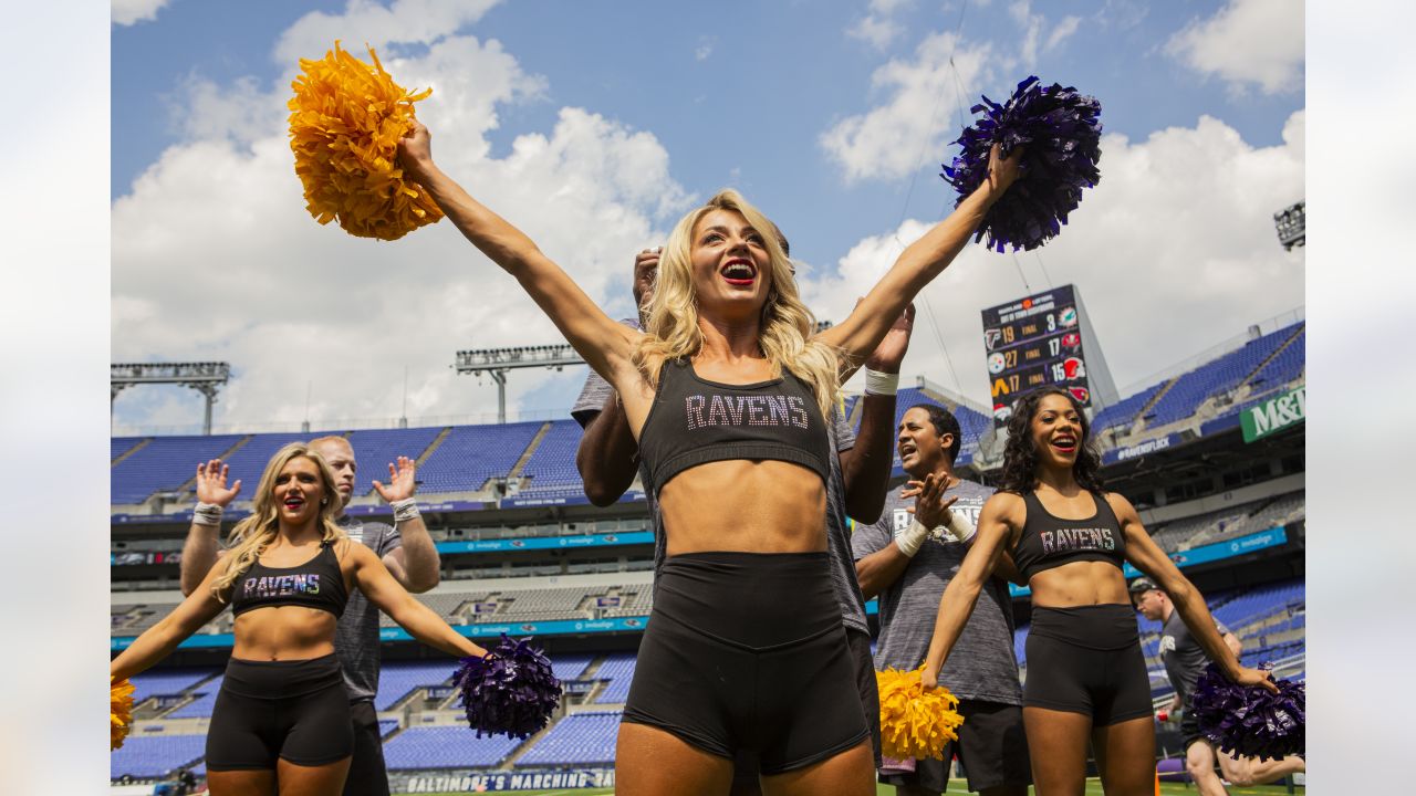 Baltimore Ravens Cheerleaders Photos from Week 8 – Ultimate