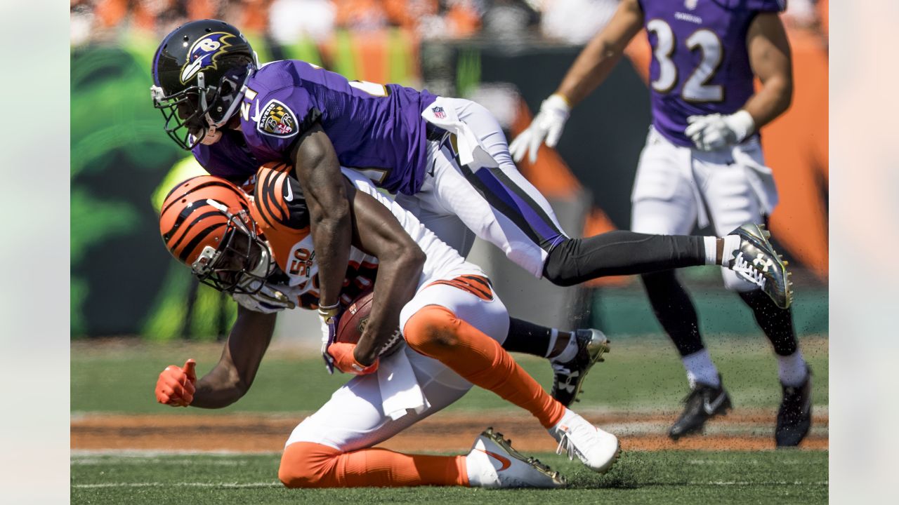 Oct. 16, 2011 - Baltimore, Maryland, U.S - Baltimore Ravens mascot Poe  takes a tumble before an NFL game between the Baltimore Ravens and the  Houston Texans, The Ravens defeated the texans