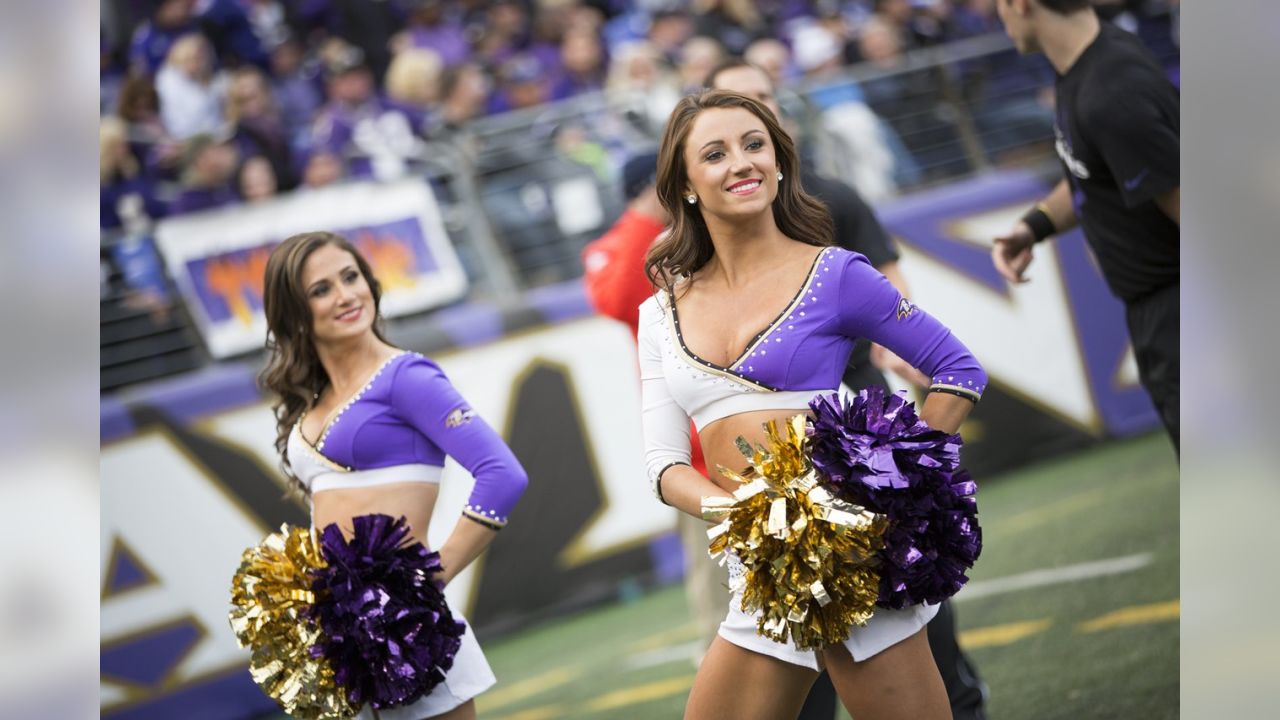 Ravens cheerleaders in 2015