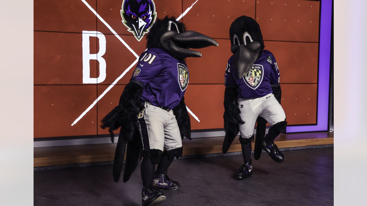 Baltimore Ravens on X: Poe hanging with all of his mascot buddies