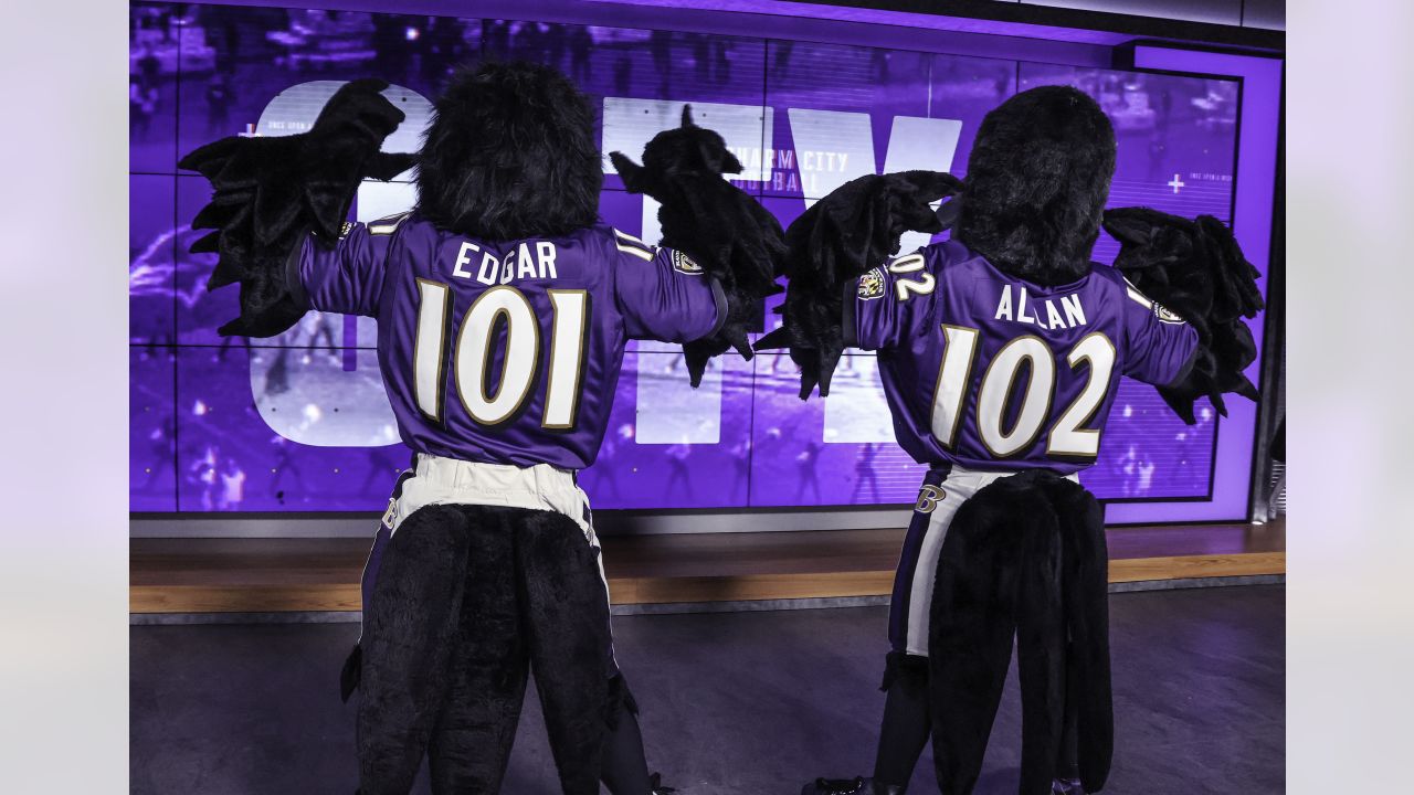 Edgar and Allan Return as Ravens Mascots